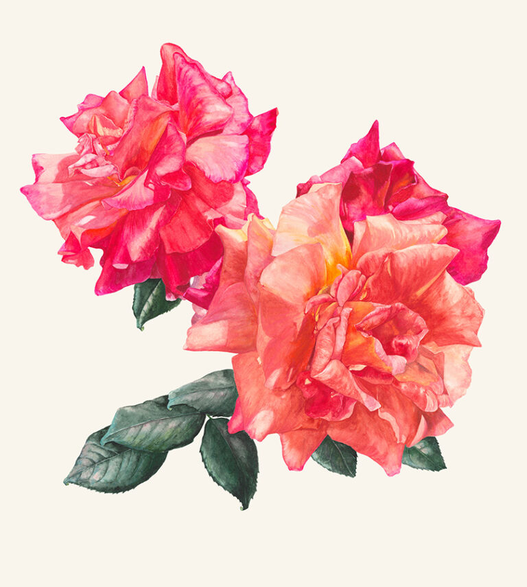 All dressed up by Gael Sellwood