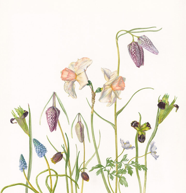 And breathe by Gael Sellwood