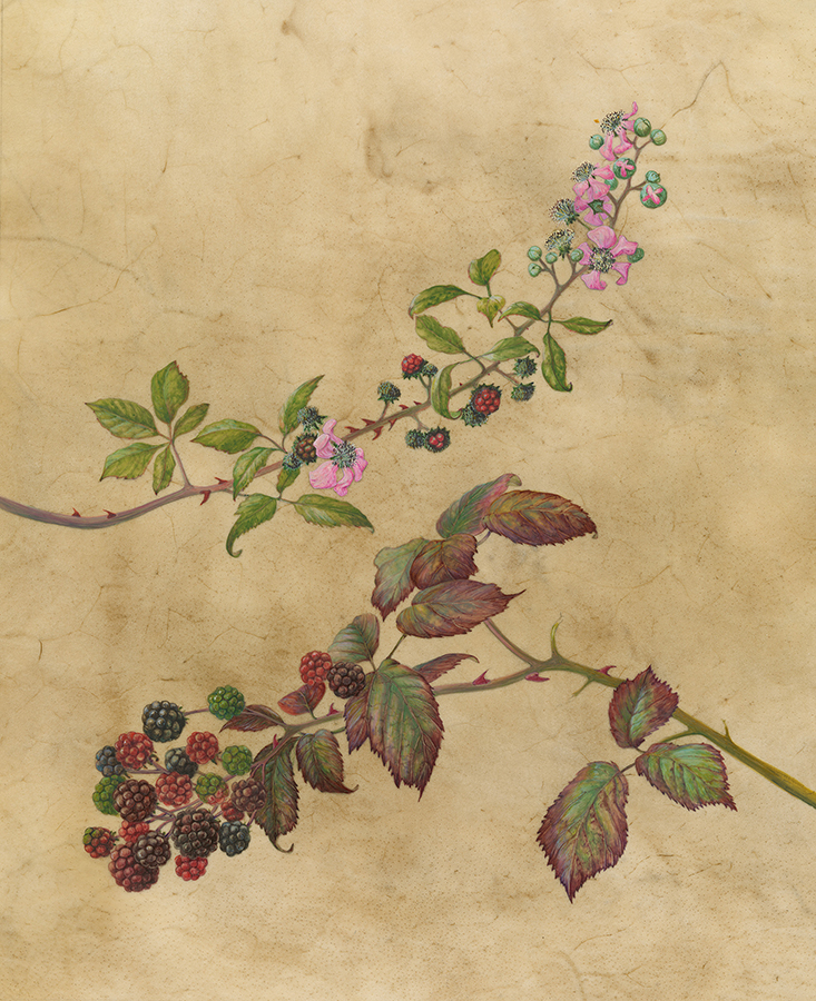 Autumn in the air by Gael Sellwood