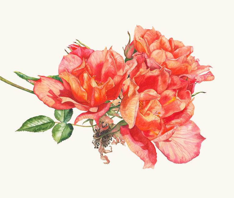 Brighter days will come by Gael Sellwood