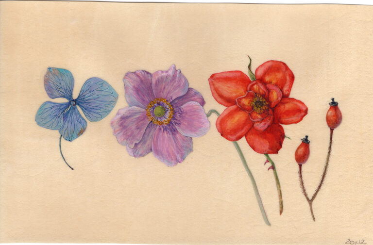 Colours of autumn II by Gael Sellwood