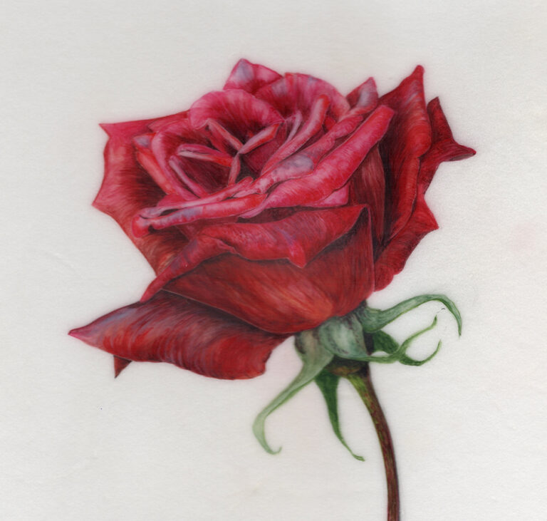 Courage by Gael Sellwood