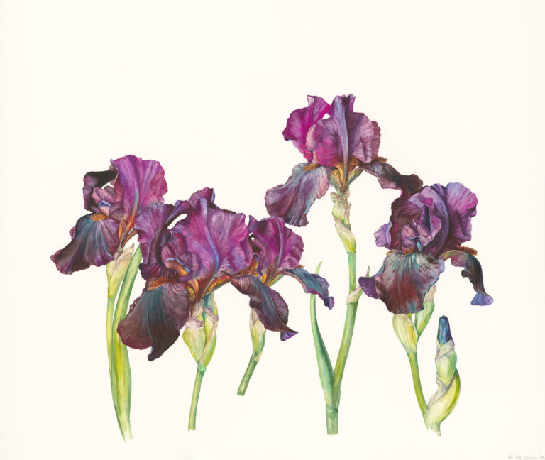 Do you remember when? by Gael Sellwood