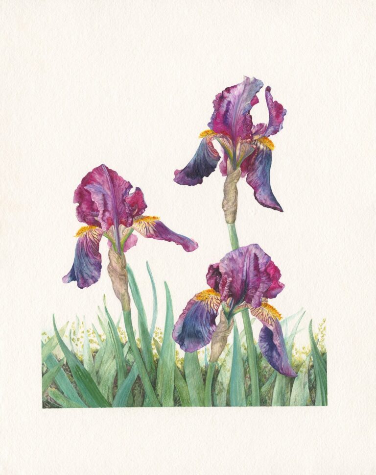 Have we been here before? by Gael Sellwood