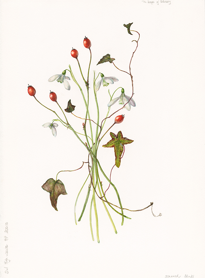 January posy by Gael Sellwood