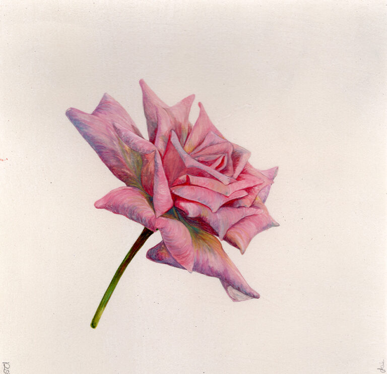 Modesty by Gael Sellwood