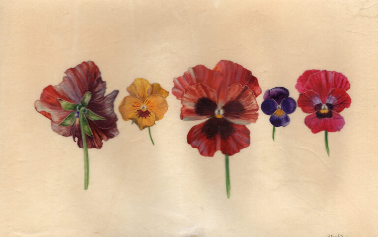 Musical chairs by Gael Sellwood