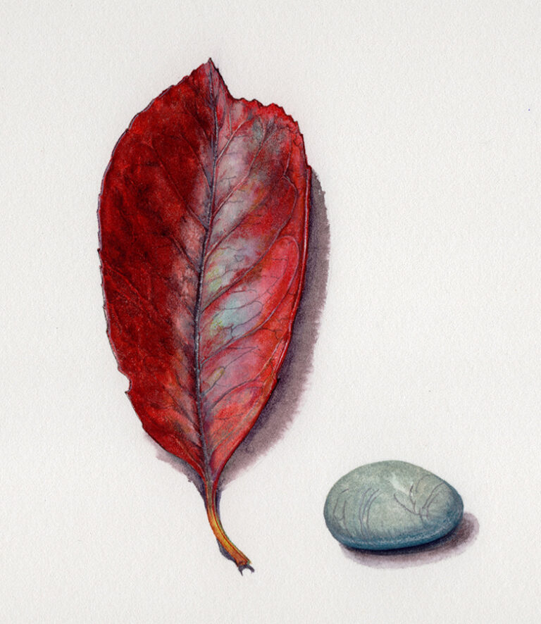 Red leaf and blue stone by Gael Sellwood