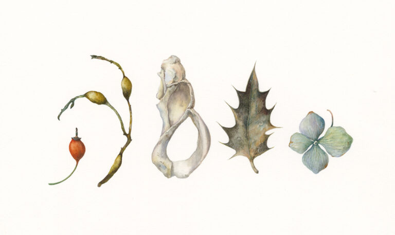 Sea shanty by Gael Sellwood