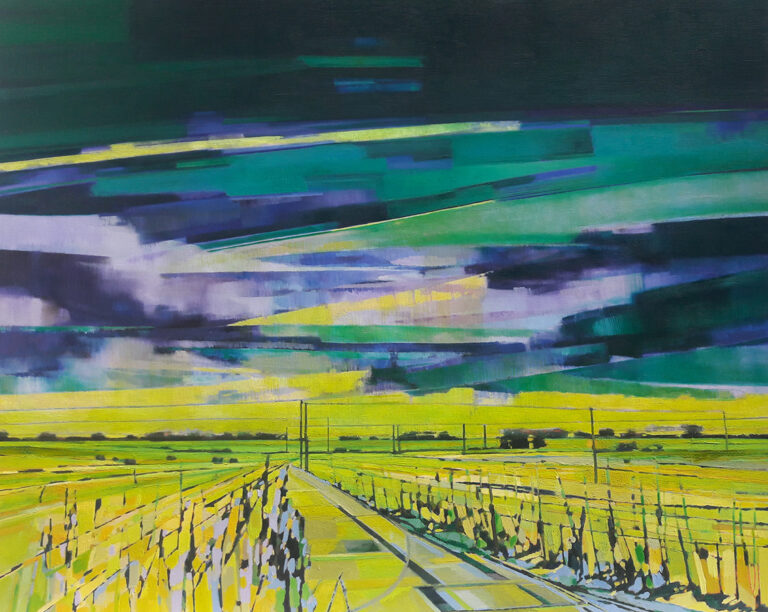 Skies Equal to the Land by Ruth Bunnewell