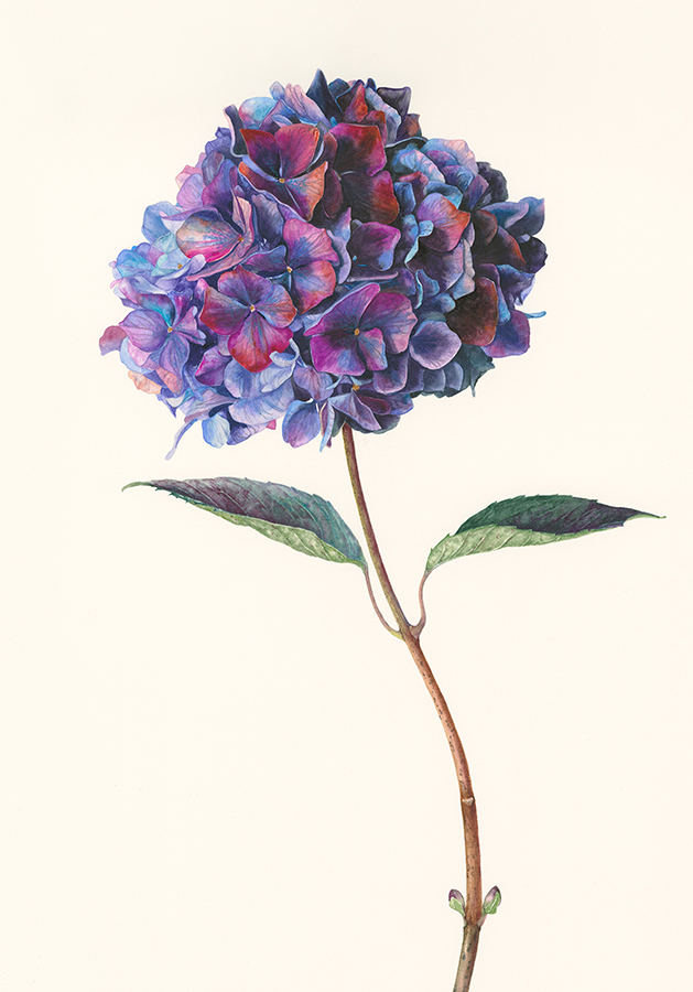 The power in you by Gael Sellwood