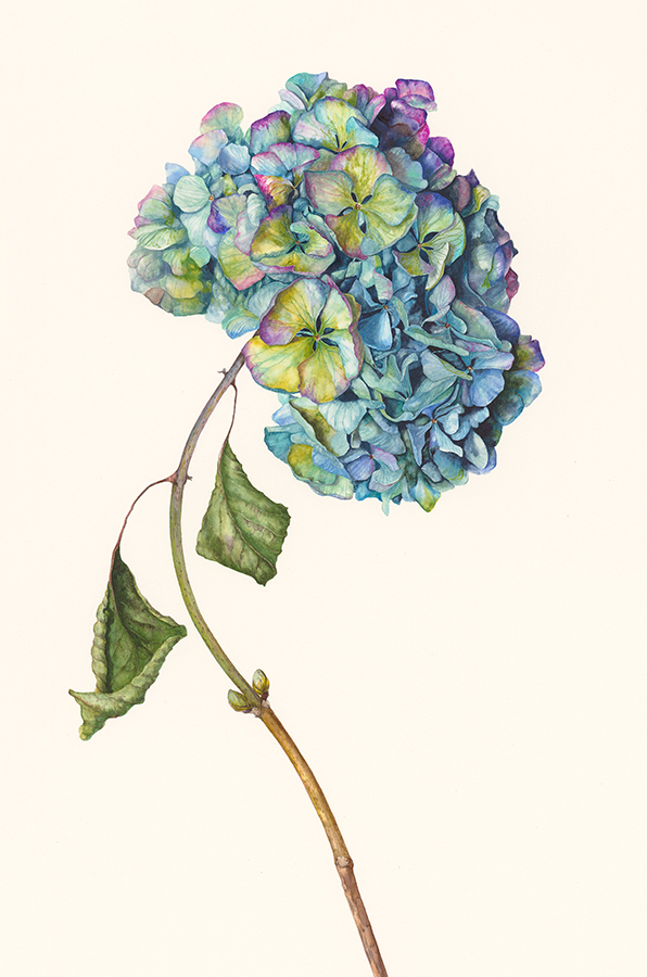 Use it up & wear it out by Gael Sellwood