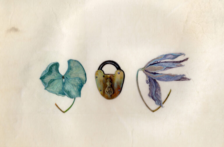 Victorian padlock, hydrangea & clematis by Gael Sellwood