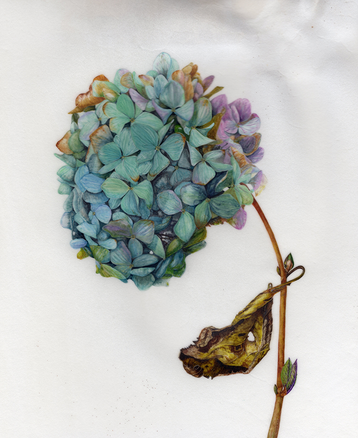 Yes, but you know me by Gael Sellwood