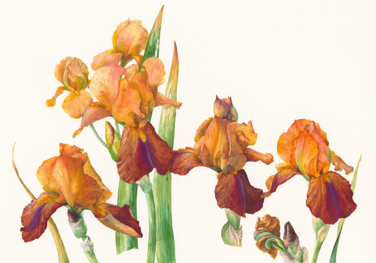 You should have said by Gael Sellwood