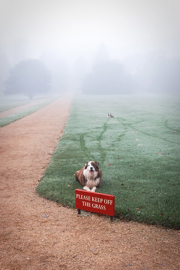 Please Keep Off The Grass by Martin Bond