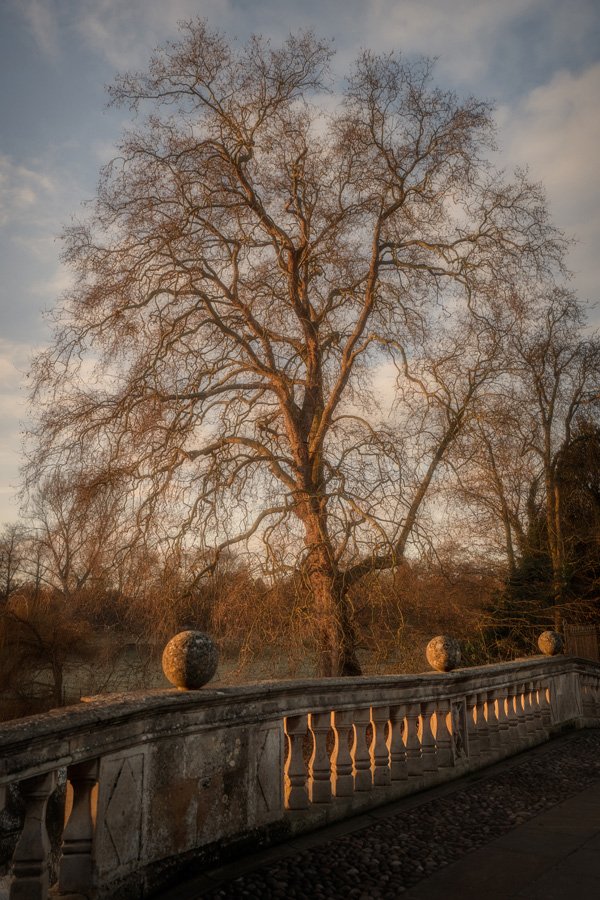 King’s London Plane by Martin Bond