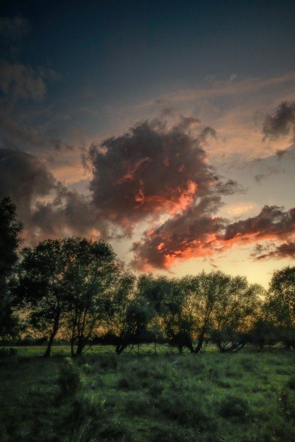 Waterbeach Fen by Martin Bond