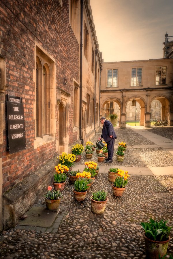 Peterhouse Porter by Martin Bond