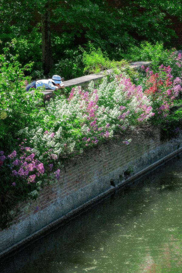 Trinity Hall Lockdown by Martin Bond