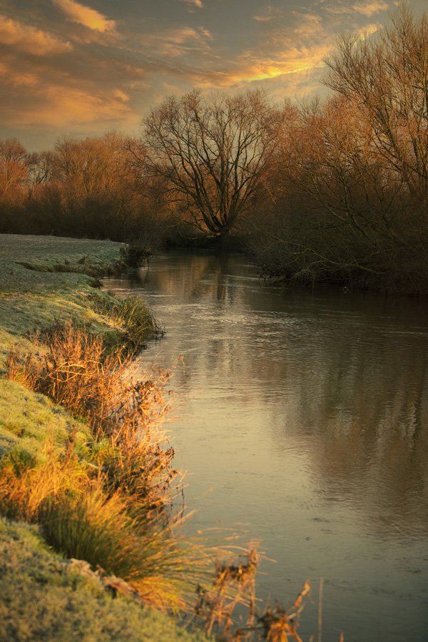Golden Grantchester by Martin Bond