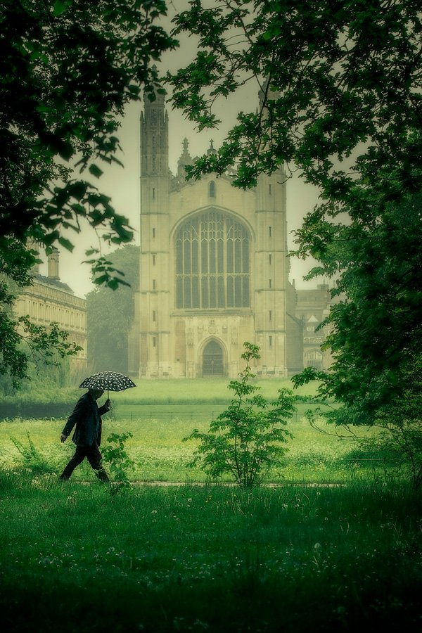 Backs Umbrella by Martin Bond