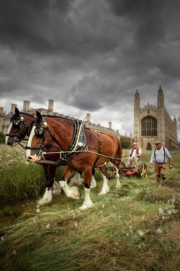 Mowing King’s Meadow by Martin Bond