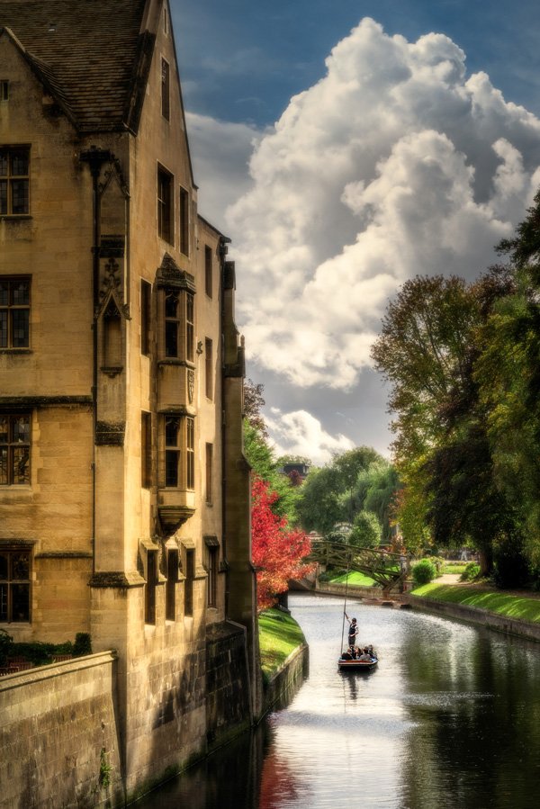 King’s and Queens by Martin Bond