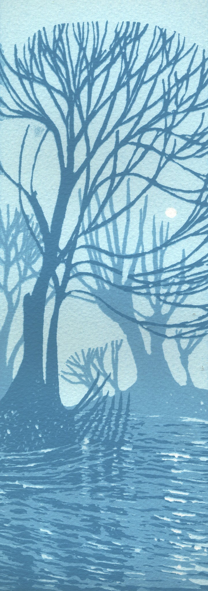 Grantchester Willows by Ian Scott Massie