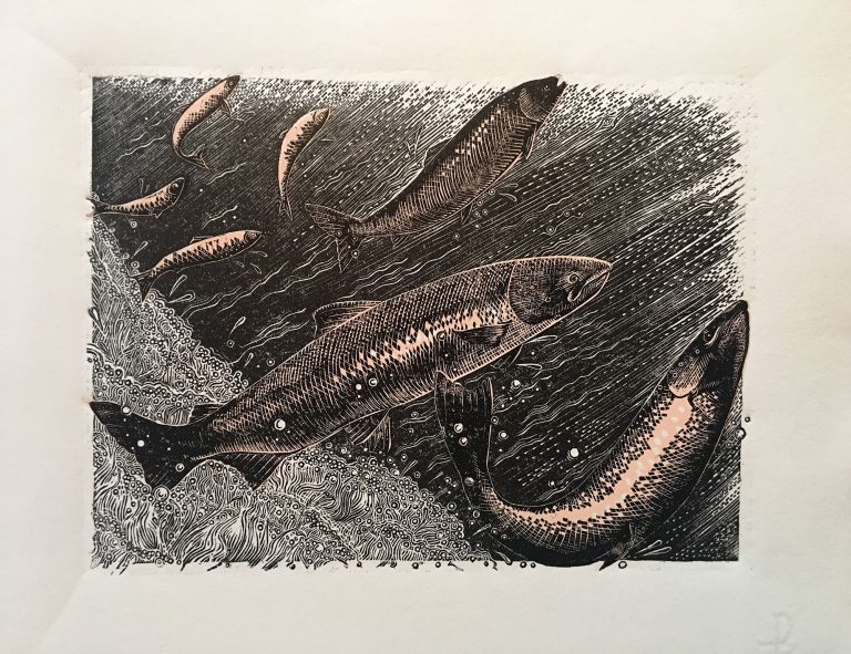 A Leap of Salmon ed2 by Julie Orpen