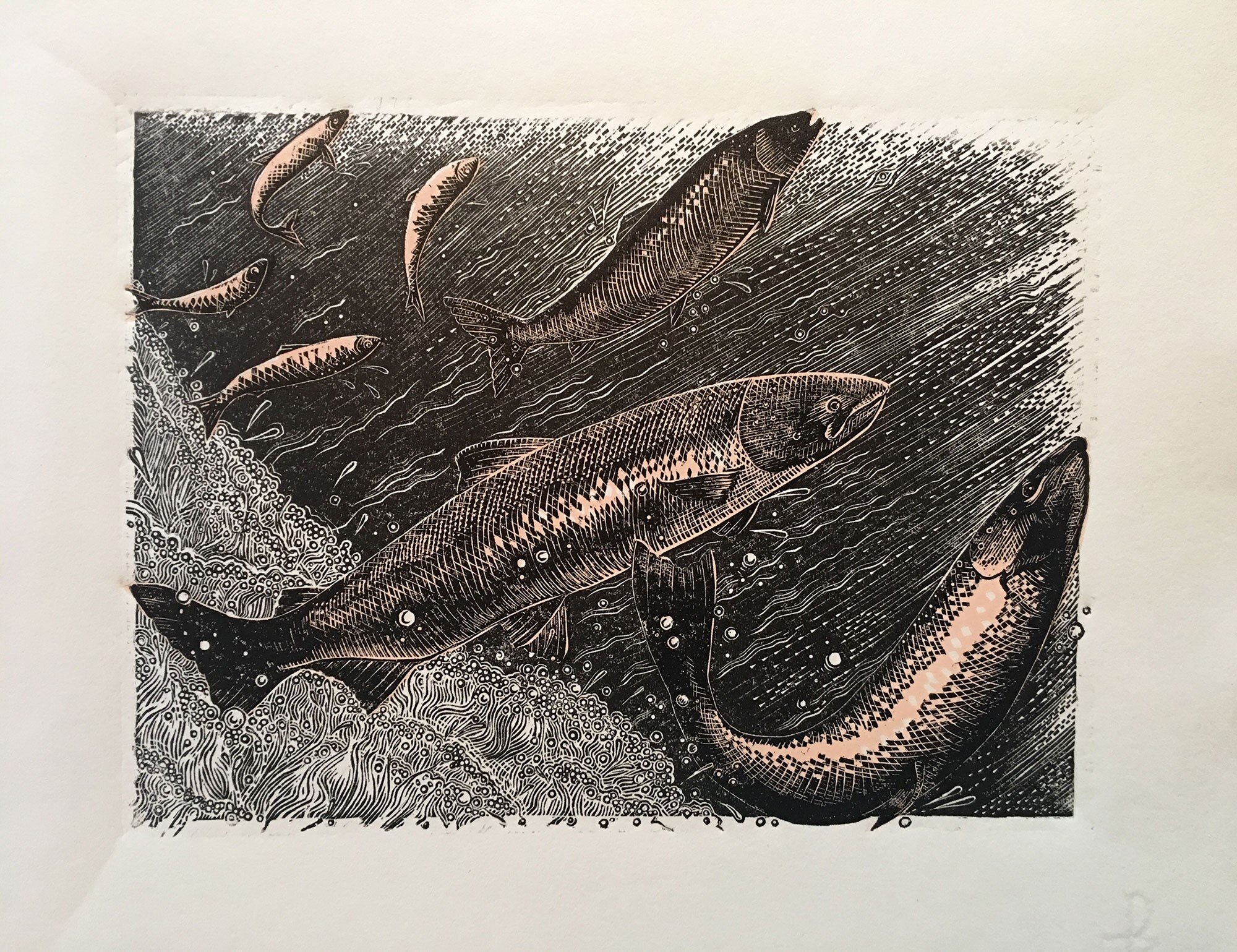 A Leap of Salmon ed2 by Julie Orpen