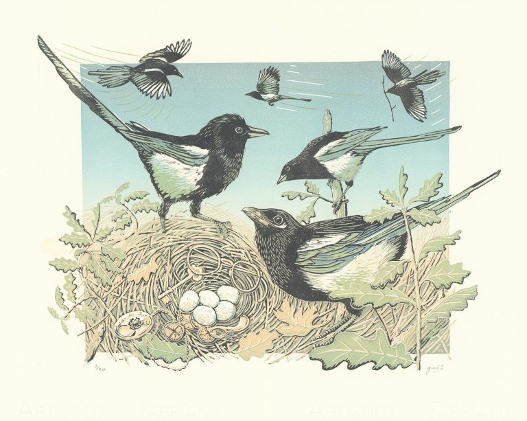 A Mischief of Magpies ed19 by Julie Orpen