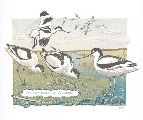An Orchestra of Avocets by Julie Orpen