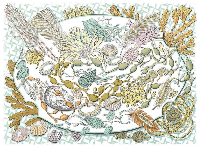 Shell, Seaweed and Feather by Angie Lewin