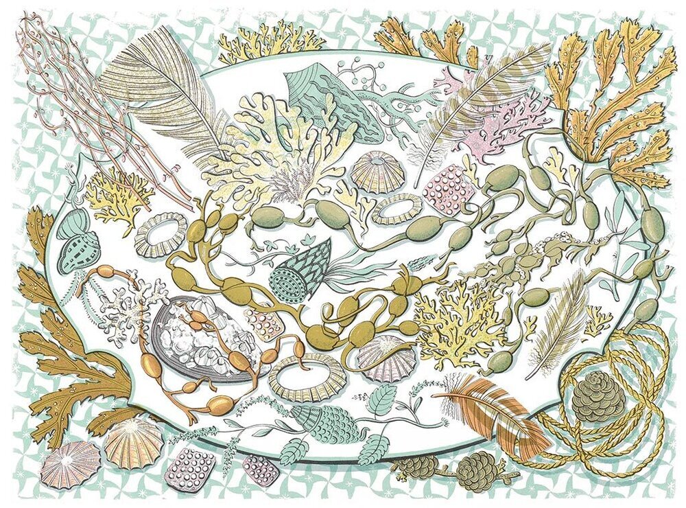 Shell, Seaweed and Feather by Angie Lewin