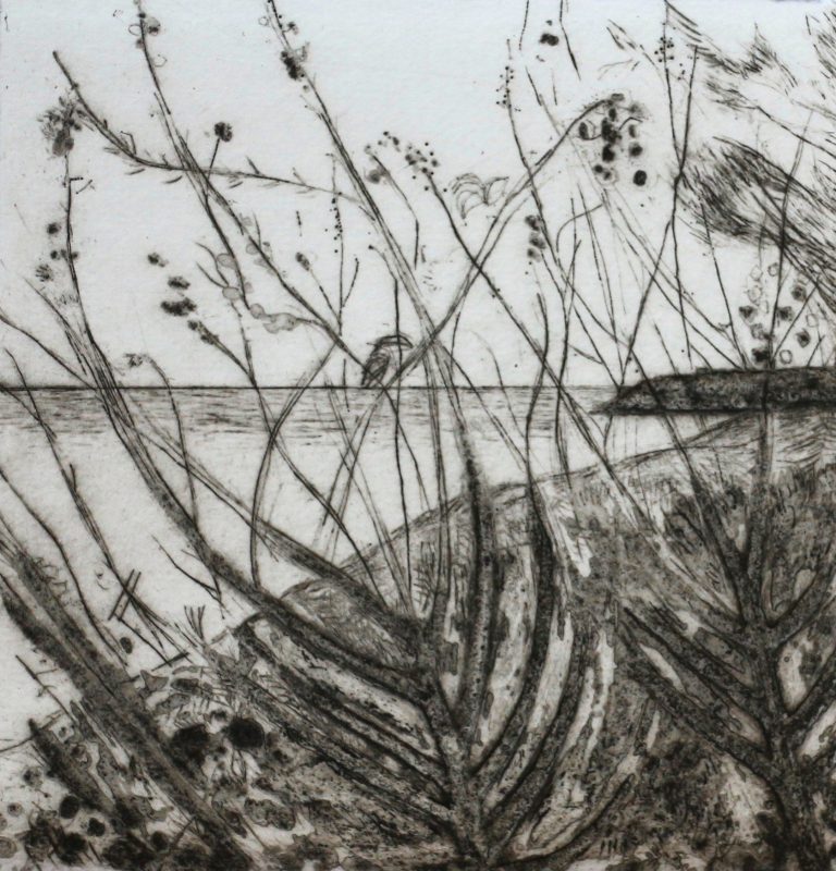 Bass Point State II ed12 by Iona Howard