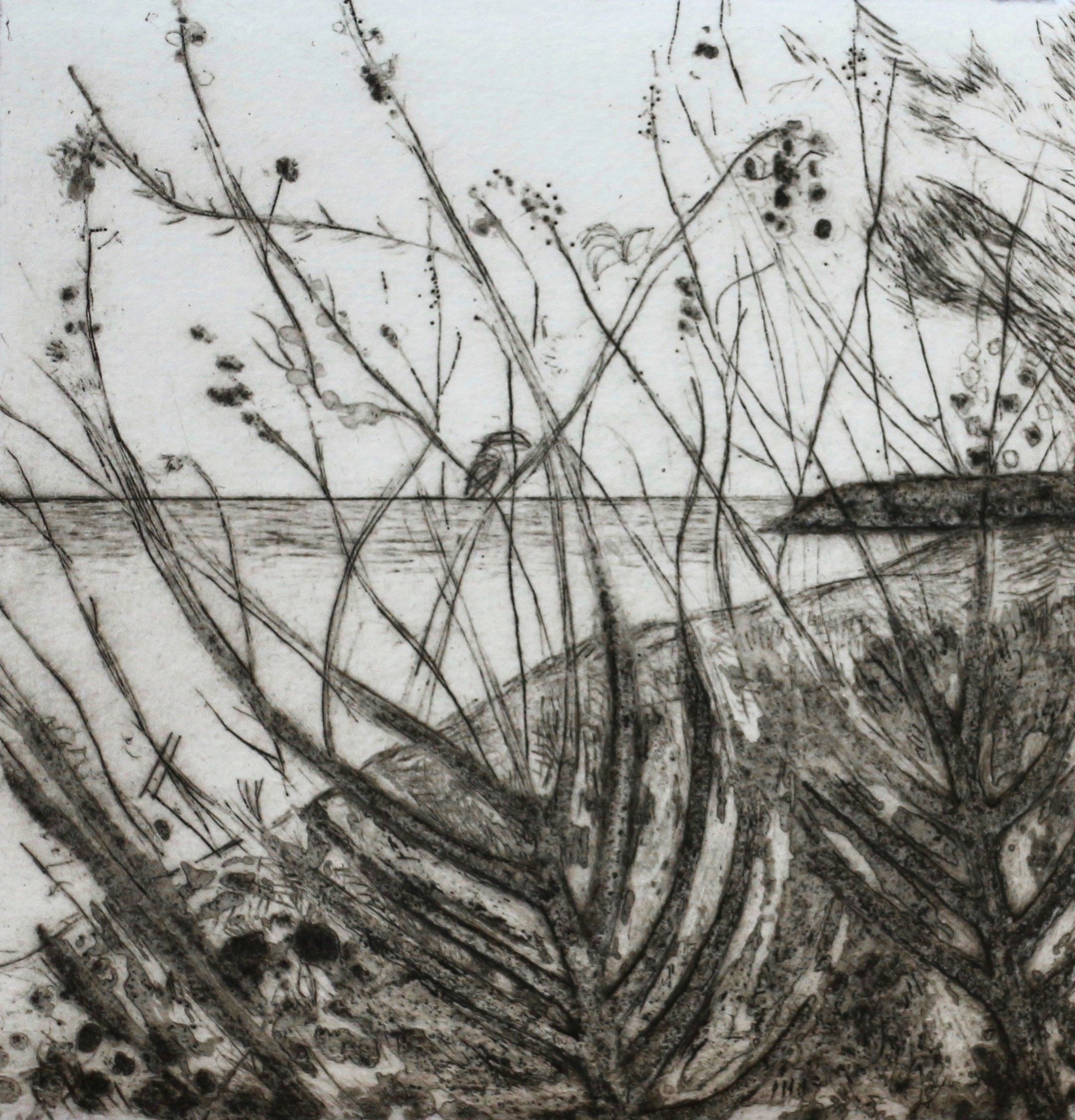 Bass Point State II ed12 by Iona Howard