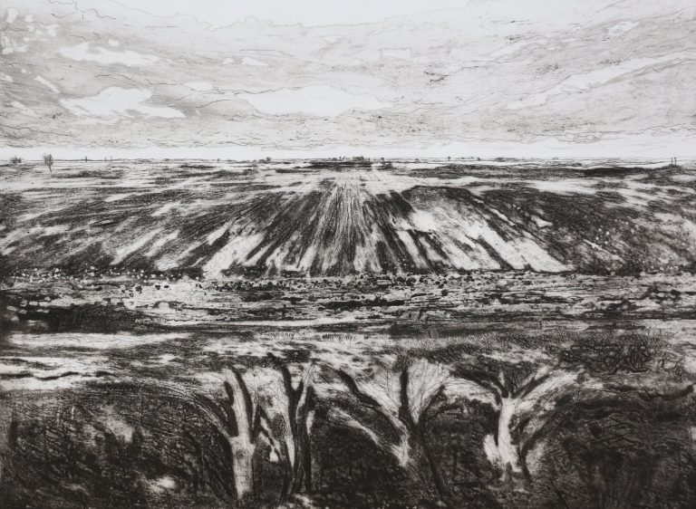 Black Fen ed3 by Iona Howard