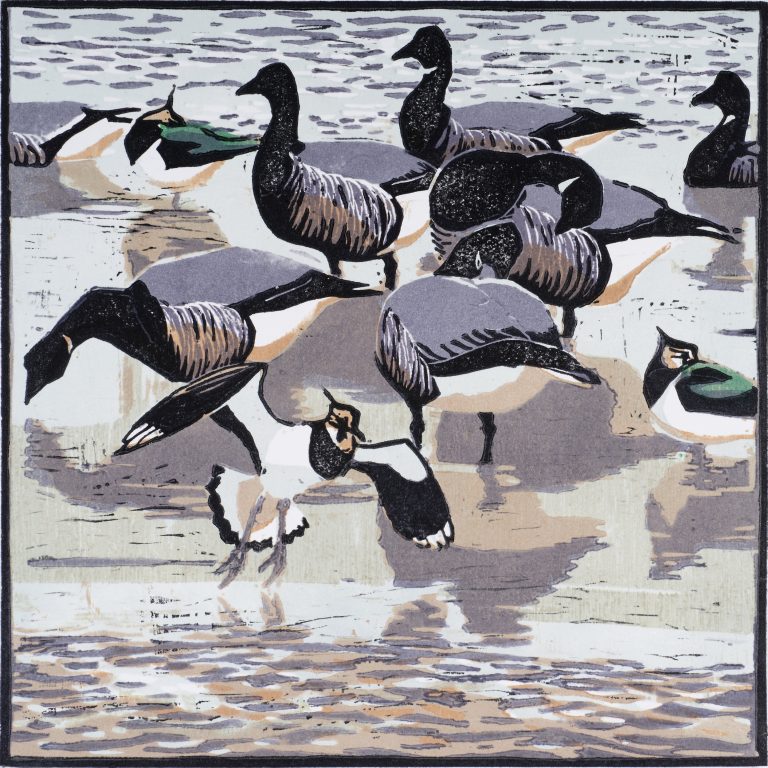 Brents and Lapwings ed24 by Robert Greenhalf