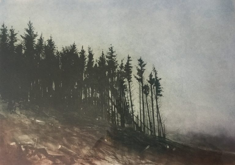 Clearing ed12 by Gregory Moore