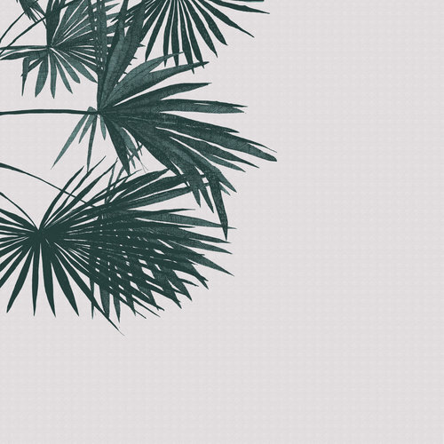 Criss Cross Palm ed97 by Clare Halifax