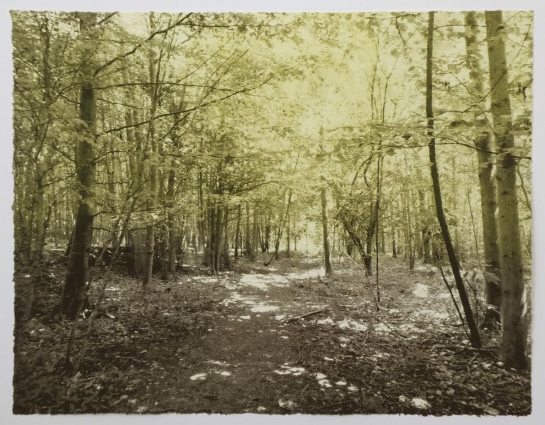 Dappled Light ed2 by Luella Martin