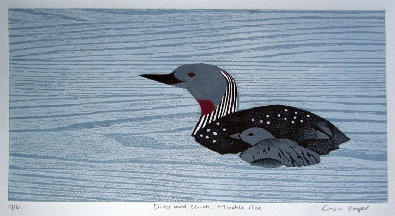 Diver and Chick by Lisa Hooper