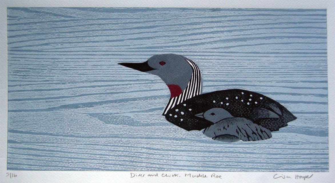 Diver and Chick by Lisa Hooper