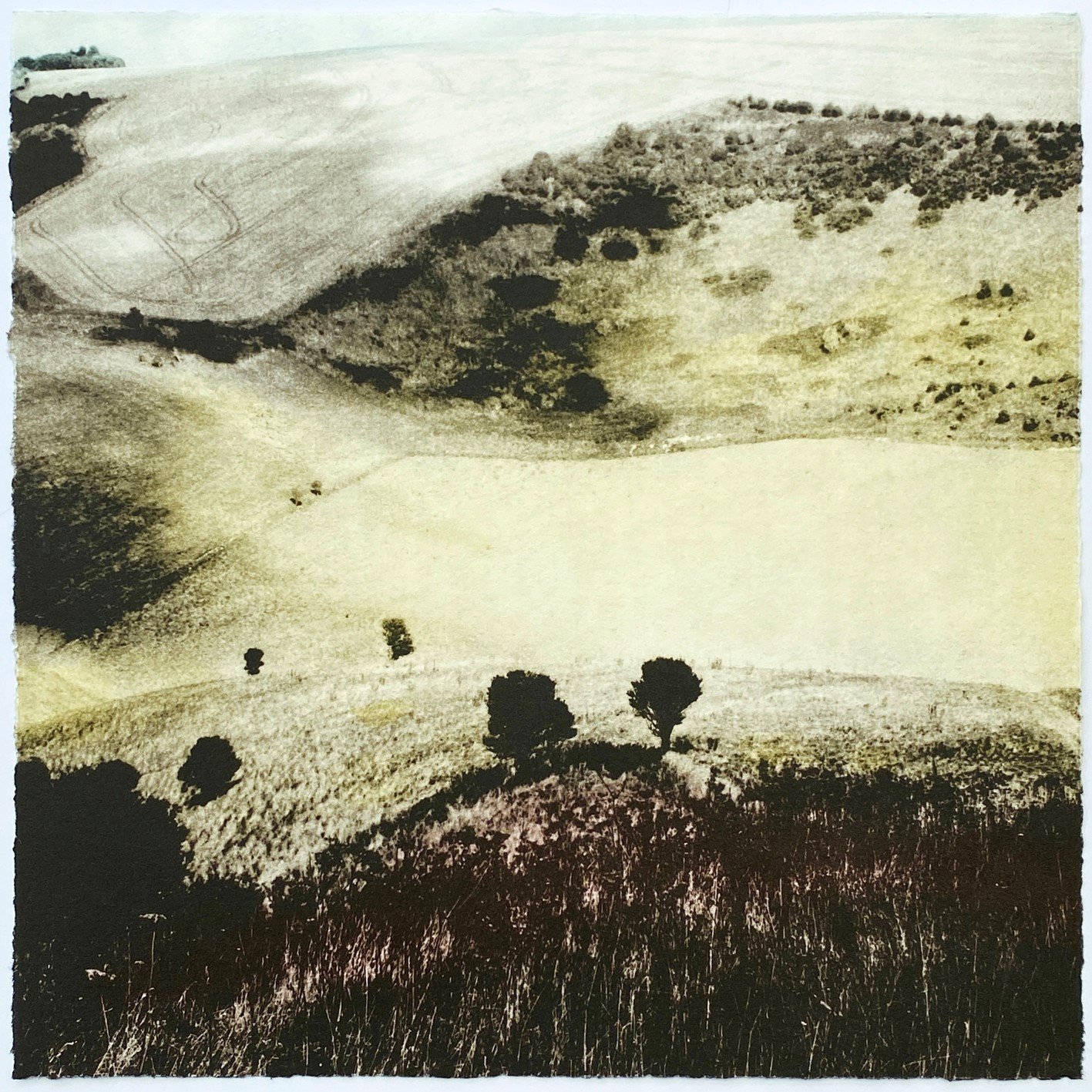 Downlands ed3 by Luella Martin