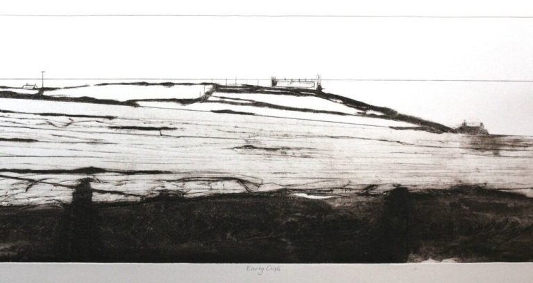 Early Crops by Iona Howard