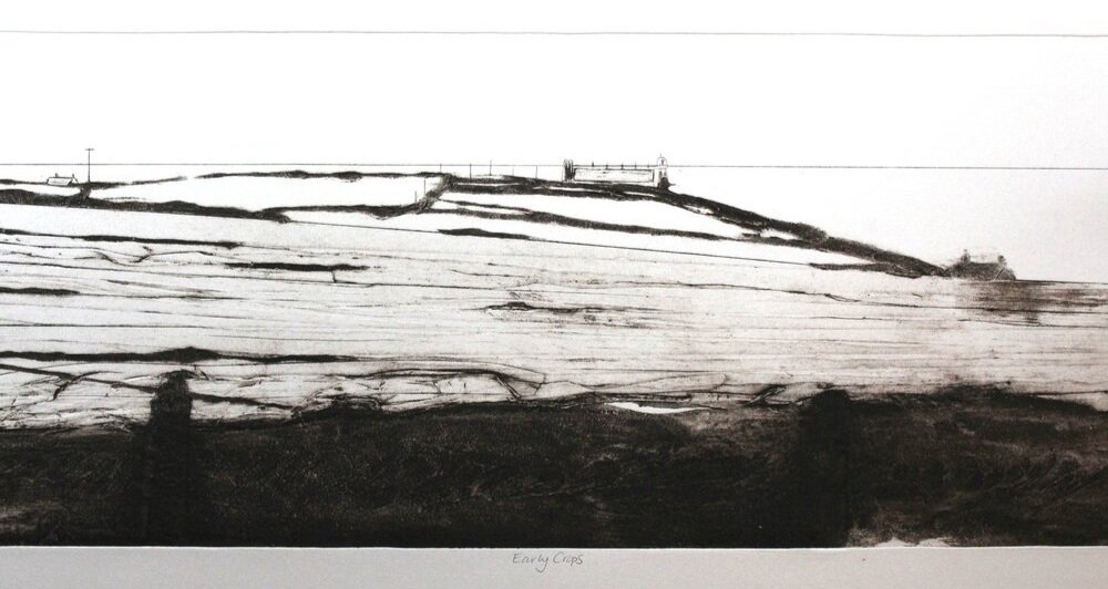 Early Crops by Iona Howard