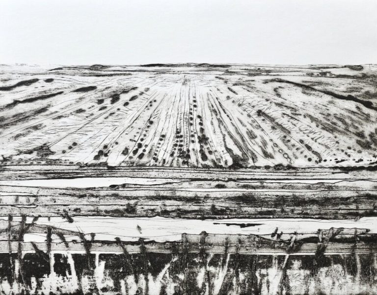 Fen State II A.P by Iona Howard