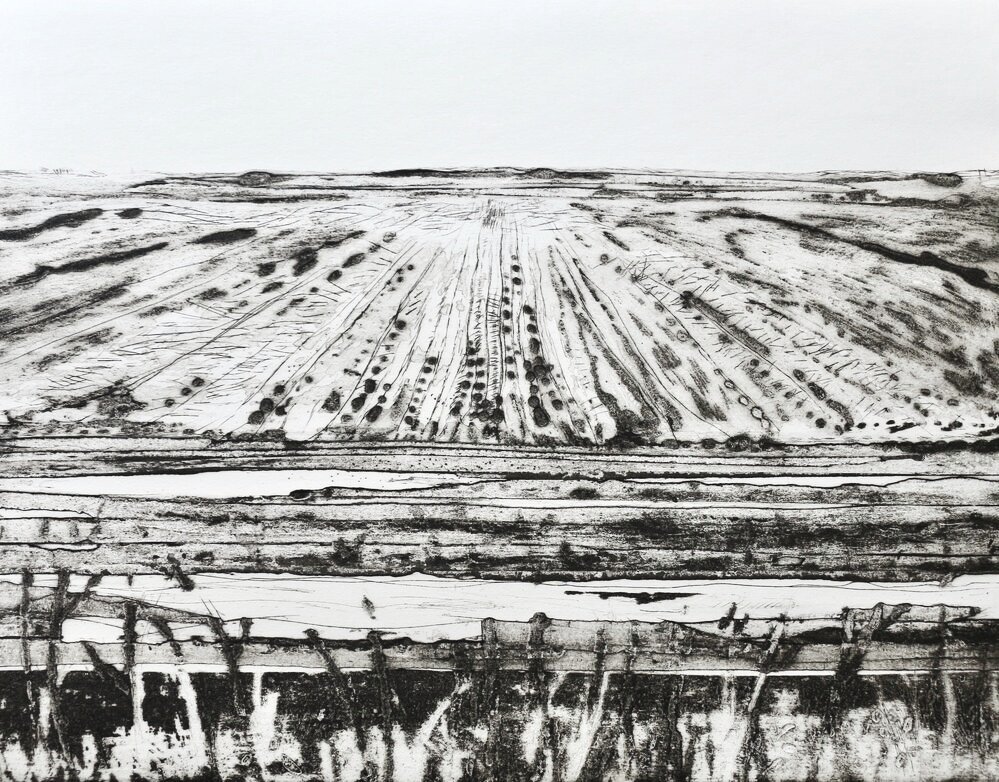 Fen State II A.P by Iona Howard