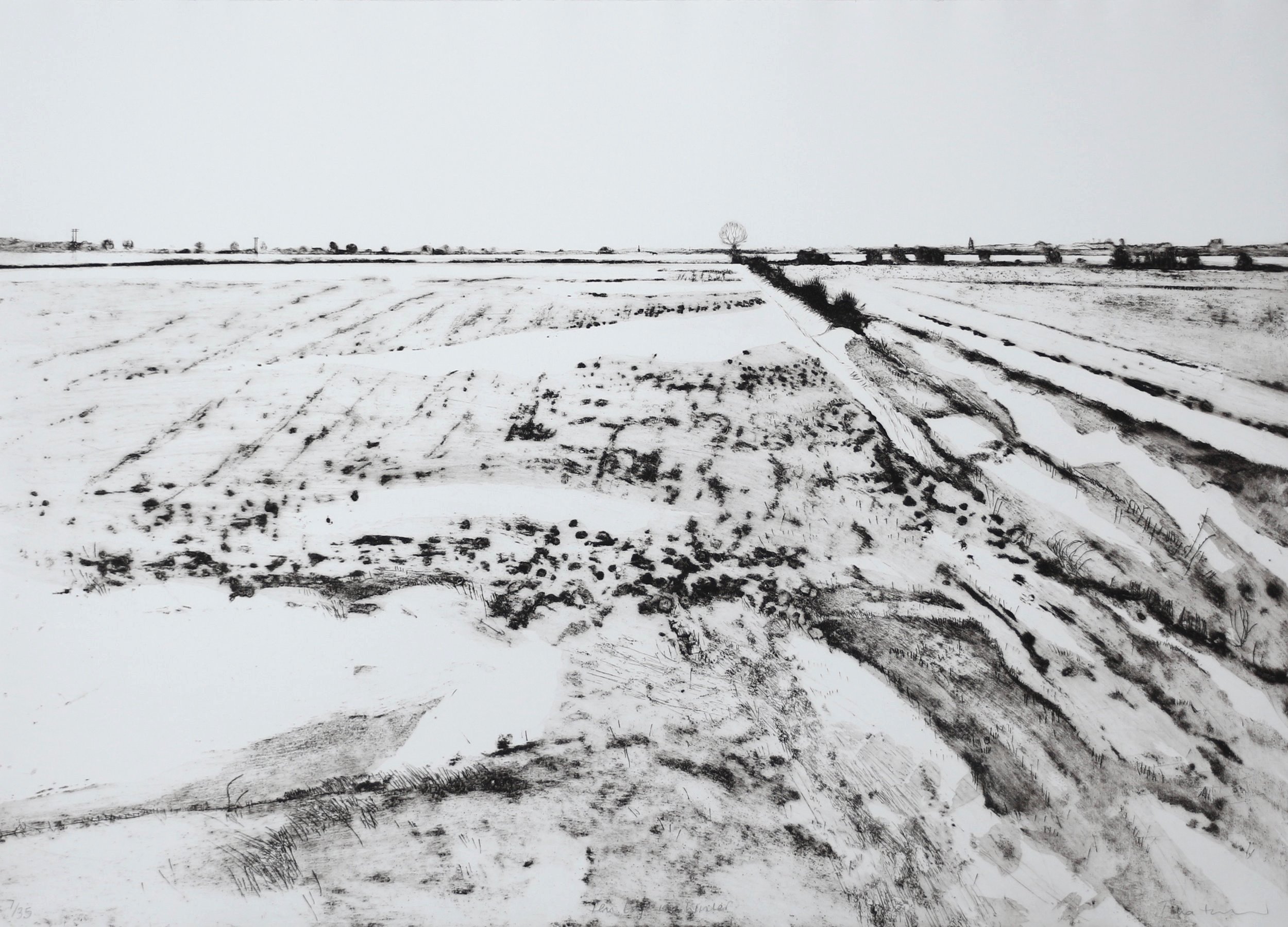 Fen Edge in Winter ed8 by Iona Howard